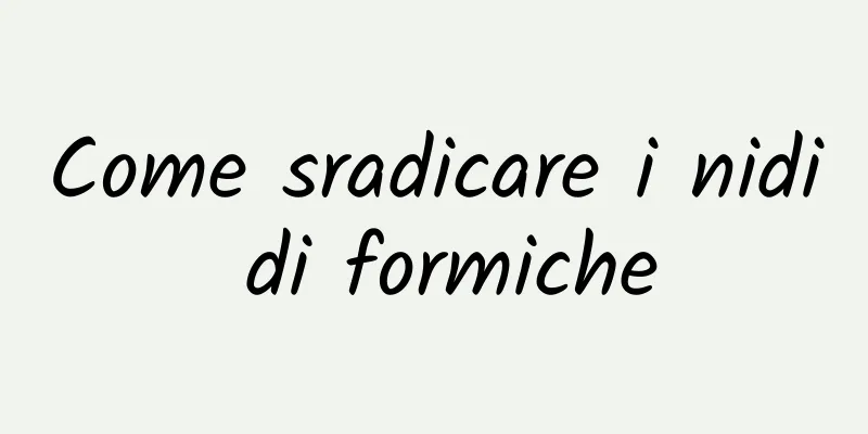 Come sradicare i nidi di formiche