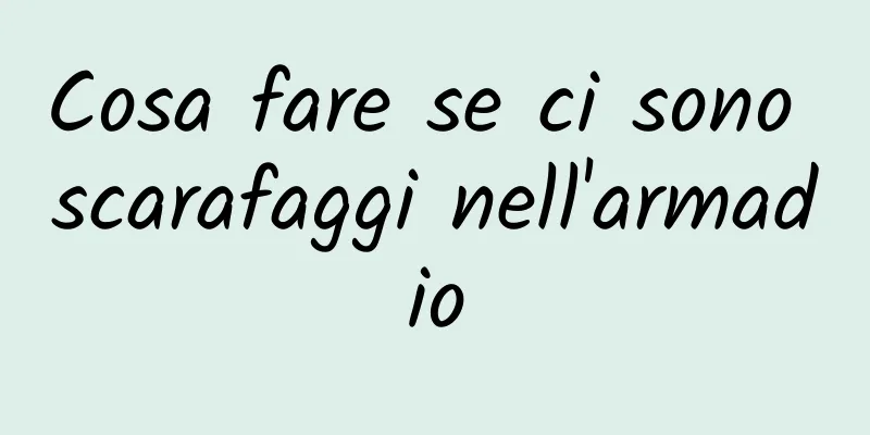Cosa fare se ci sono scarafaggi nell'armadio