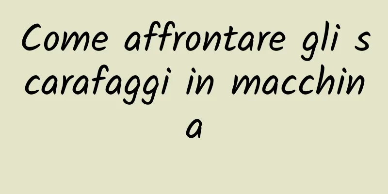 Come affrontare gli scarafaggi in macchina