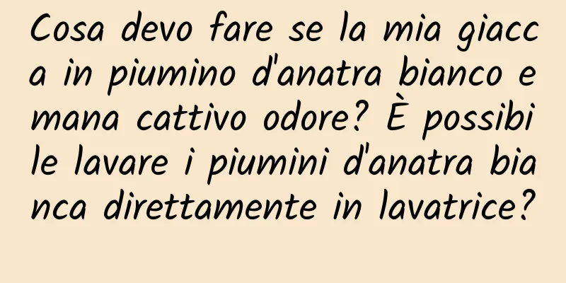 Cosa devo fare se la mia giacca in piumino d'anatra bianco emana cattivo odore? È possibile lavare i piumini d'anatra bianca direttamente in lavatrice?