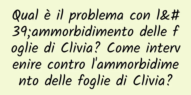Qual è il problema con l'ammorbidimento delle foglie di Clivia? Come intervenire contro l'ammorbidimento delle foglie di Clivia?