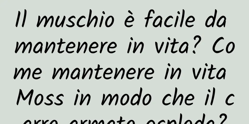 Il muschio è facile da mantenere in vita? Come mantenere in vita Moss in modo che il carro armato esploda?