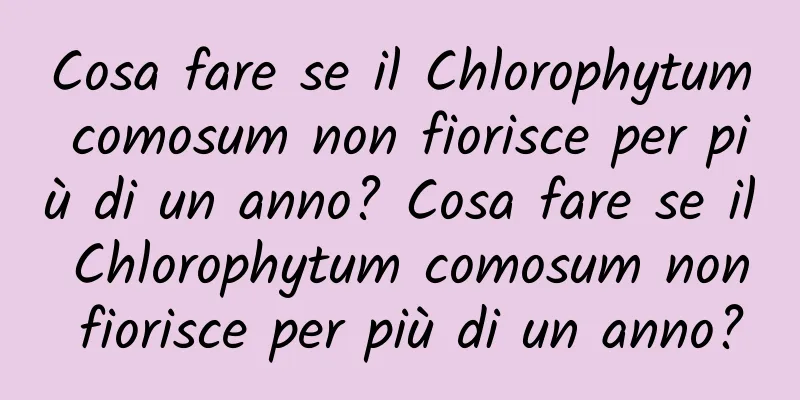 Cosa fare se il Chlorophytum comosum non fiorisce per più di un anno? Cosa fare se il Chlorophytum comosum non fiorisce per più di un anno?