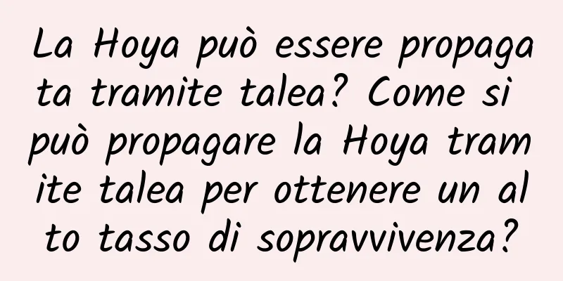 La Hoya può essere propagata tramite talea? Come si può propagare la Hoya tramite talea per ottenere un alto tasso di sopravvivenza?