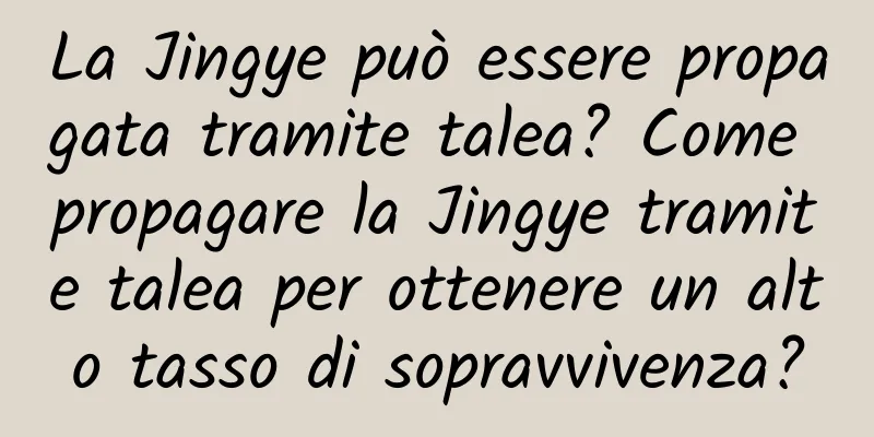 La Jingye può essere propagata tramite talea? Come propagare la Jingye tramite talea per ottenere un alto tasso di sopravvivenza?