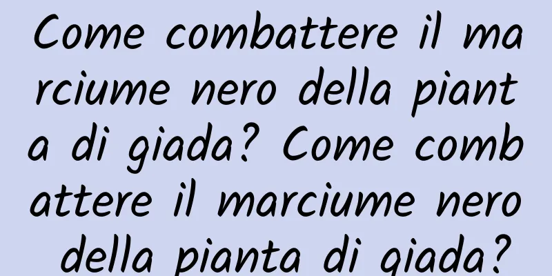 Come combattere il marciume nero della pianta di giada? Come combattere il marciume nero della pianta di giada?