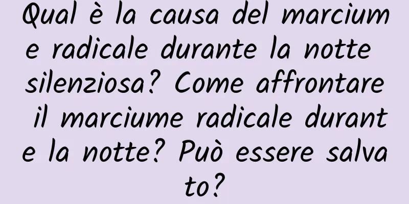 Qual è la causa del marciume radicale durante la notte silenziosa? Come affrontare il marciume radicale durante la notte? Può essere salvato?