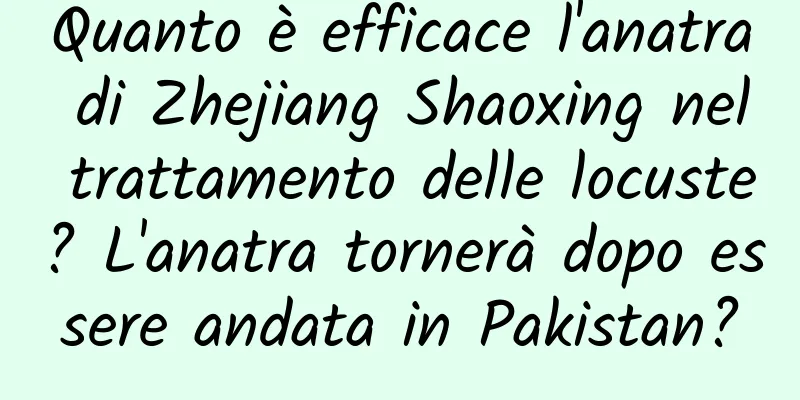 Quanto è efficace l'anatra di Zhejiang Shaoxing nel trattamento delle locuste? L'anatra tornerà dopo essere andata in Pakistan?
