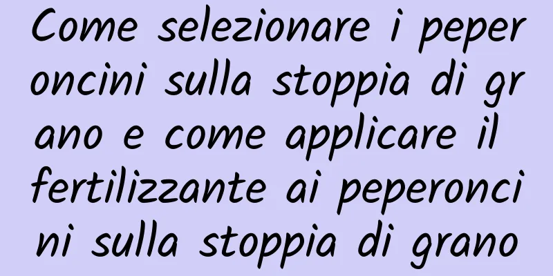Come selezionare i peperoncini sulla stoppia di grano e come applicare il fertilizzante ai peperoncini sulla stoppia di grano