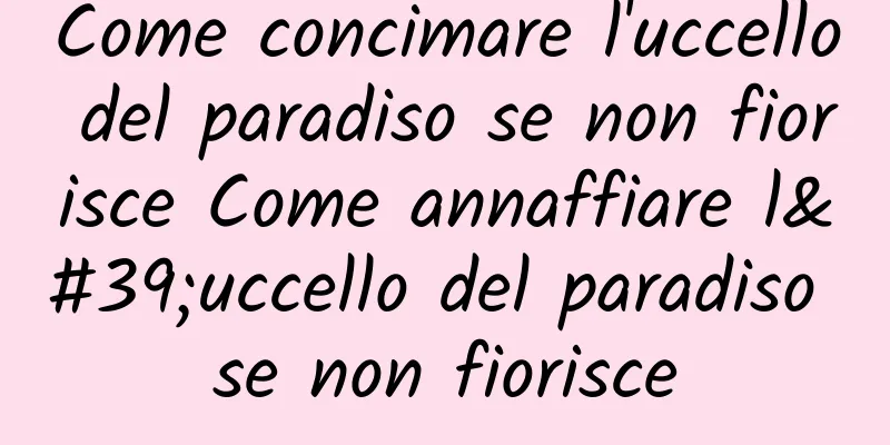 Come concimare l'uccello del paradiso se non fiorisce Come annaffiare l'uccello del paradiso se non fiorisce