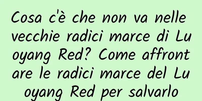 Cosa c'è che non va nelle vecchie radici marce di Luoyang Red? Come affrontare le radici marce del Luoyang Red per salvarlo