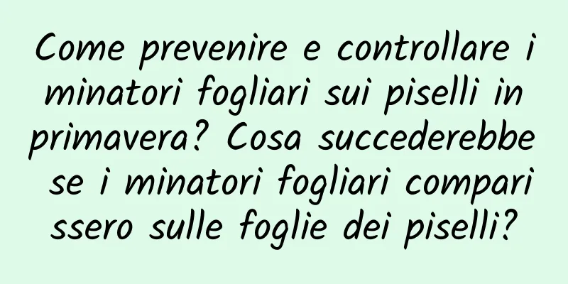 Come prevenire e controllare i minatori fogliari sui piselli in primavera? Cosa succederebbe se i minatori fogliari comparissero sulle foglie dei piselli?