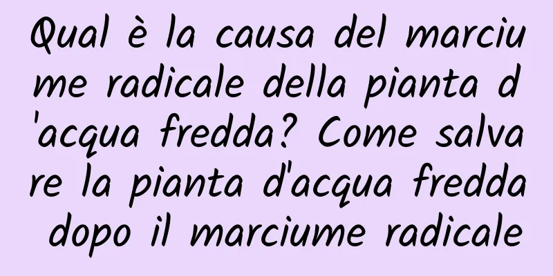 Qual è la causa del marciume radicale della pianta d'acqua fredda? Come salvare la pianta d'acqua fredda dopo il marciume radicale