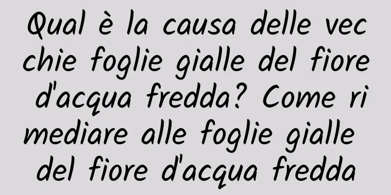 Qual è la causa delle vecchie foglie gialle del fiore d'acqua fredda? Come rimediare alle foglie gialle del fiore d'acqua fredda
