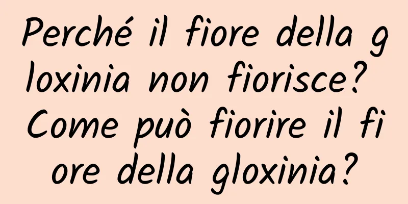 Perché il fiore della gloxinia non fiorisce? Come può fiorire il fiore della gloxinia?