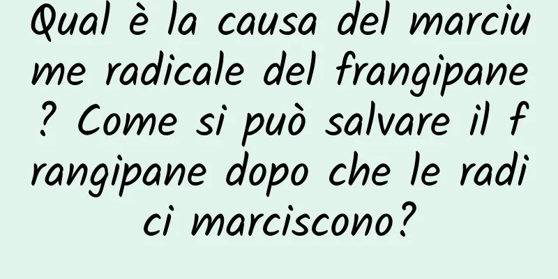 Qual è la causa del marciume radicale del frangipane? Come si può salvare il frangipane dopo che le radici marciscono?
