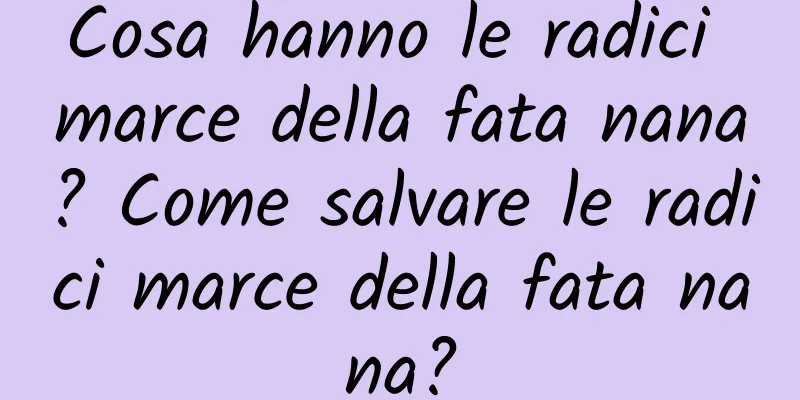 Cosa hanno le radici marce della fata nana? Come salvare le radici marce della fata nana?
