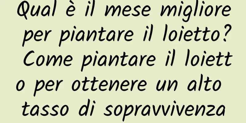 Qual è il mese migliore per piantare il loietto? Come piantare il loietto per ottenere un alto tasso di sopravvivenza