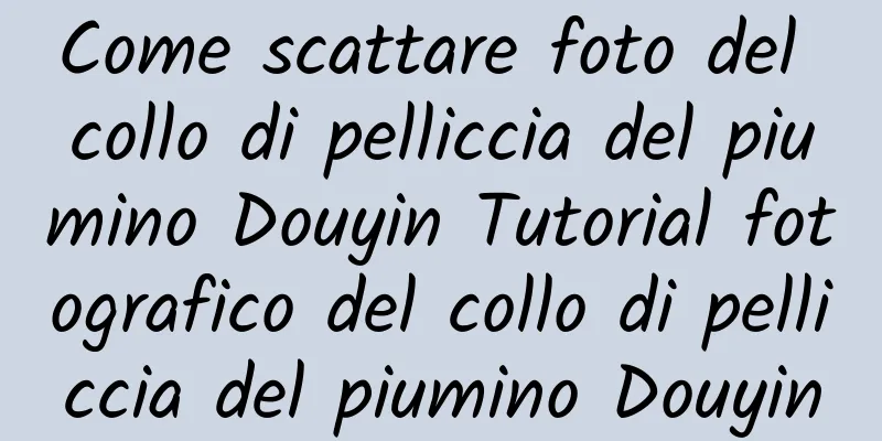 Come scattare foto del collo di pelliccia del piumino Douyin Tutorial fotografico del collo di pelliccia del piumino Douyin