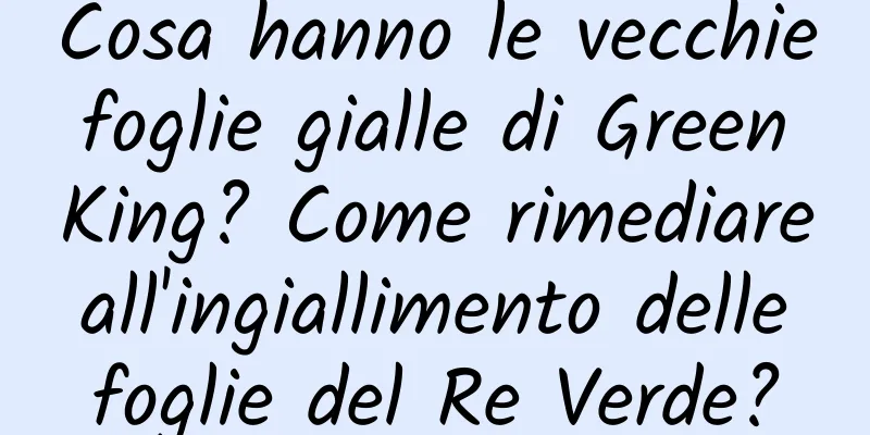 Cosa hanno le vecchie foglie gialle di Green King? Come rimediare all'ingiallimento delle foglie del Re Verde?