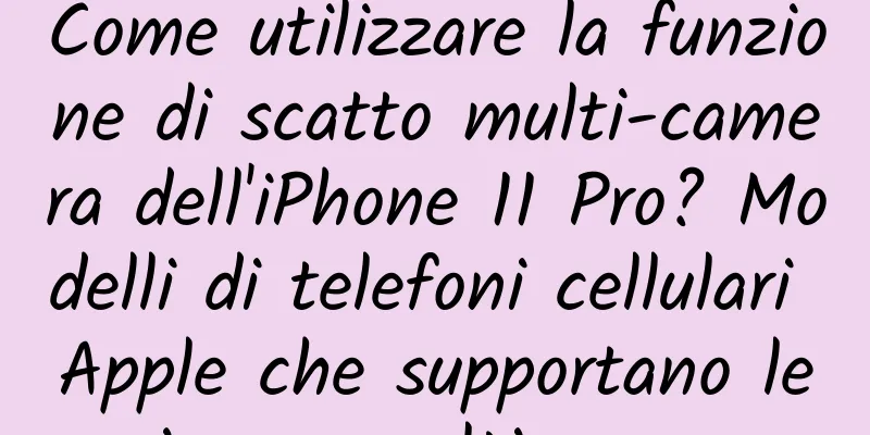Come utilizzare la funzione di scatto multi-camera dell'iPhone 11 Pro? Modelli di telefoni cellulari Apple che supportano le riprese multi-camera