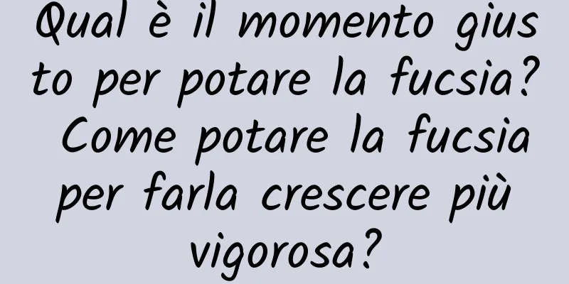 Qual è il momento giusto per potare la fucsia? Come potare la fucsia per farla crescere più vigorosa?
