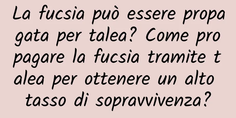 La fucsia può essere propagata per talea? Come propagare la fucsia tramite talea per ottenere un alto tasso di sopravvivenza?