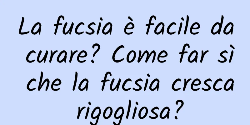 La fucsia è facile da curare? Come far sì che la fucsia cresca rigogliosa?
