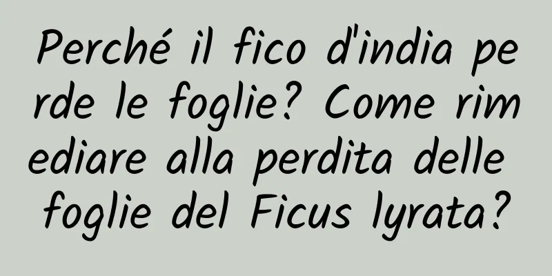 Perché il fico d'india perde le foglie? Come rimediare alla perdita delle foglie del Ficus lyrata?