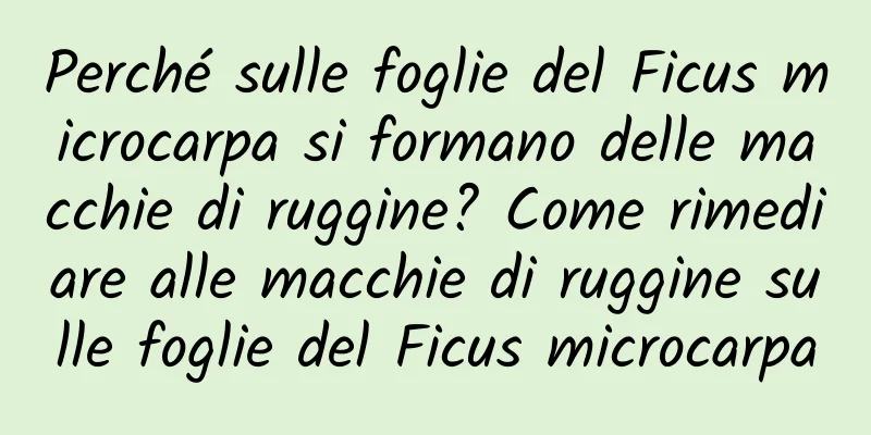 Perché sulle foglie del Ficus microcarpa si formano delle macchie di ruggine? Come rimediare alle macchie di ruggine sulle foglie del Ficus microcarpa