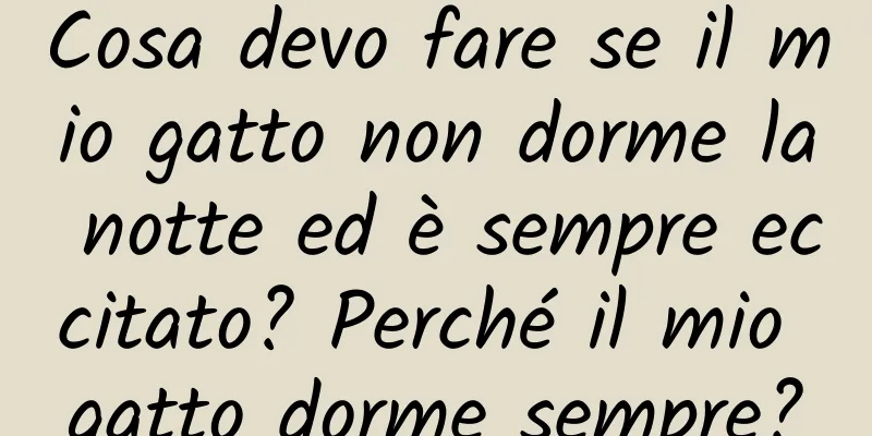 Cosa devo fare se il mio gatto non dorme la notte ed è sempre eccitato? Perché il mio gatto dorme sempre?