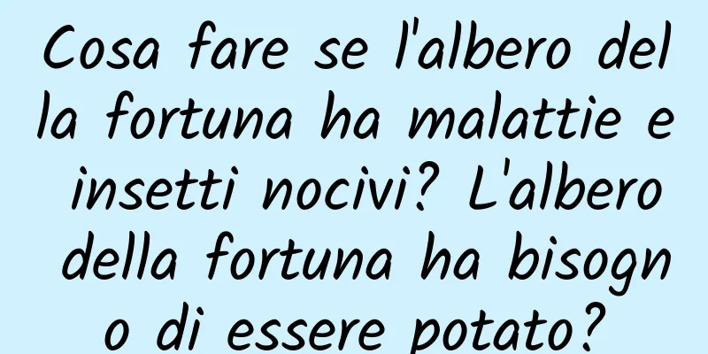 Cosa fare se l'albero della fortuna ha malattie e insetti nocivi? L'albero della fortuna ha bisogno di essere potato?