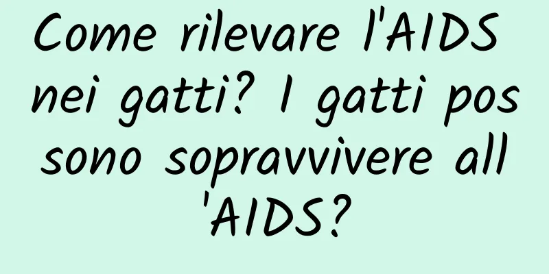 Come rilevare l'AIDS nei gatti? I gatti possono sopravvivere all'AIDS?
