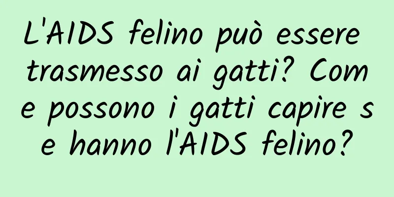 L'AIDS felino può essere trasmesso ai gatti? Come possono i gatti capire se hanno l'AIDS felino?