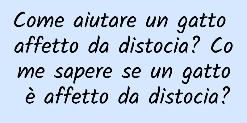 Come aiutare un gatto affetto da distocia? Come sapere se un gatto è affetto da distocia?