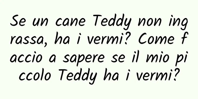 Se un cane Teddy non ingrassa, ha i vermi? Come faccio a sapere se il mio piccolo Teddy ha i vermi?