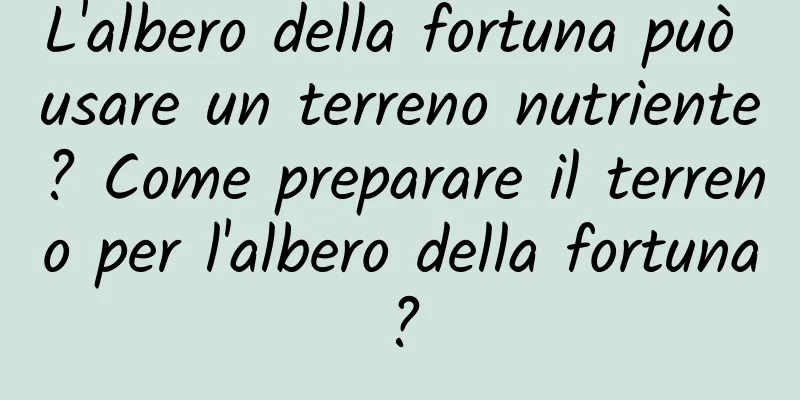 L'albero della fortuna può usare un terreno nutriente? Come preparare il terreno per l'albero della fortuna?