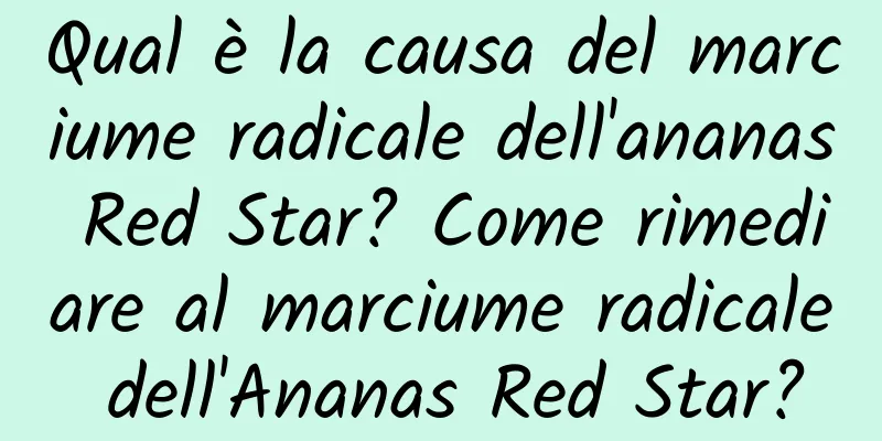 Qual è la causa del marciume radicale dell'ananas Red Star? Come rimediare al marciume radicale dell'Ananas Red Star?