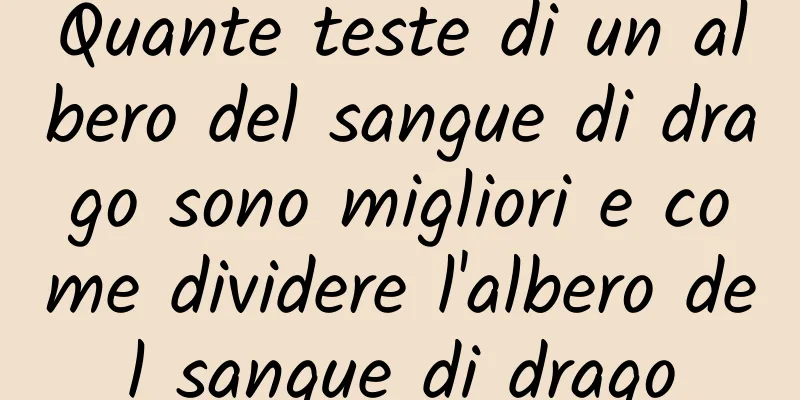 Quante teste di un albero del sangue di drago sono migliori e come dividere l'albero del sangue di drago
