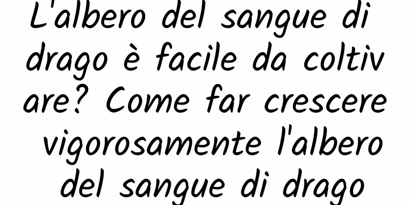 L'albero del sangue di drago è facile da coltivare? Come far crescere vigorosamente l'albero del sangue di drago