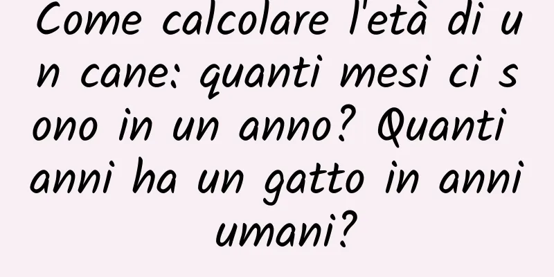 Come calcolare l'età di un cane: quanti mesi ci sono in un anno? Quanti anni ha un gatto in anni umani?
