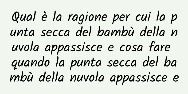 Qual è la ragione per cui la punta secca del bambù della nuvola appassisce e cosa fare quando la punta secca del bambù della nuvola appassisce e