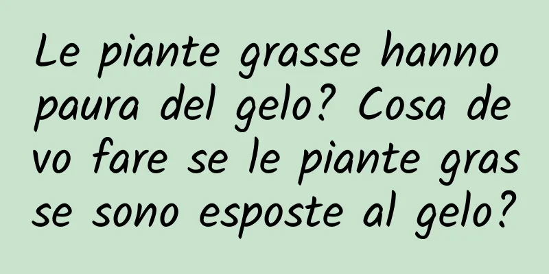 Le piante grasse hanno paura del gelo? Cosa devo fare se le piante grasse sono esposte al gelo?