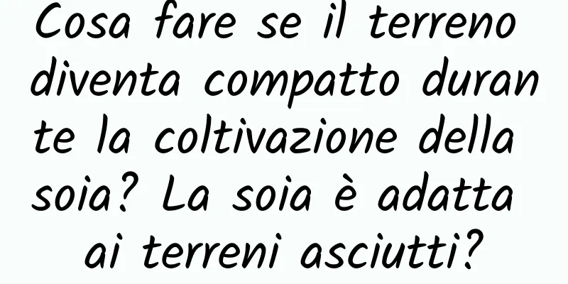 Cosa fare se il terreno diventa compatto durante la coltivazione della soia? La soia è adatta ai terreni asciutti?