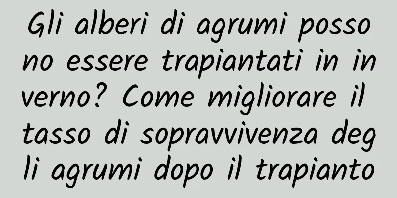Gli alberi di agrumi possono essere trapiantati in inverno? Come migliorare il tasso di sopravvivenza degli agrumi dopo il trapianto