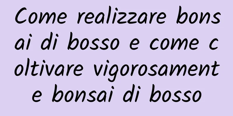 Come realizzare bonsai di bosso e come coltivare vigorosamente bonsai di bosso