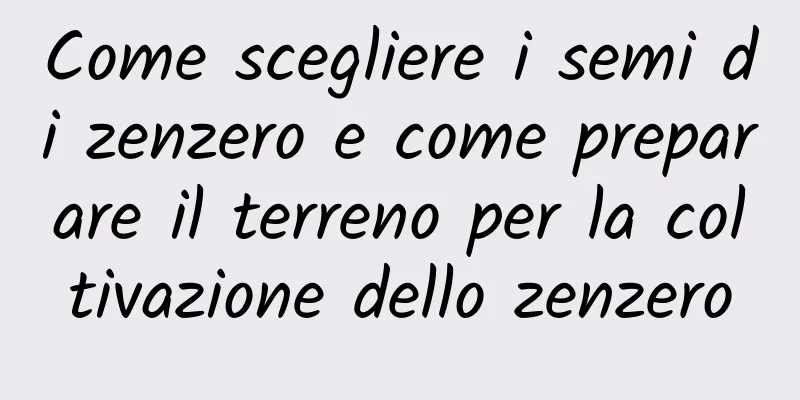 Come scegliere i semi di zenzero e come preparare il terreno per la coltivazione dello zenzero