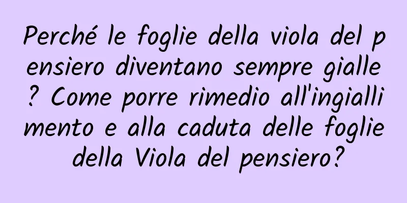 Perché le foglie della viola del pensiero diventano sempre gialle? Come porre rimedio all'ingiallimento e alla caduta delle foglie della Viola del pensiero?
