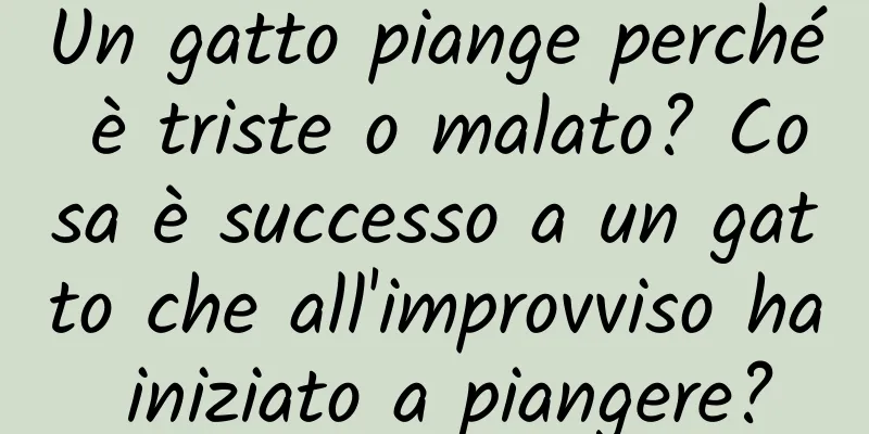 Un gatto piange perché è triste o malato? Cosa è successo a un gatto che all'improvviso ha iniziato a piangere?