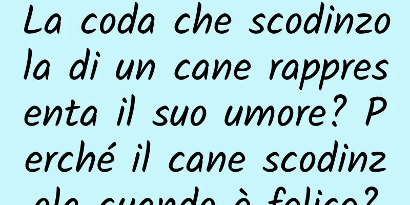 La coda che scodinzola di un cane rappresenta il suo umore? Perché il cane scodinzola quando è felice?